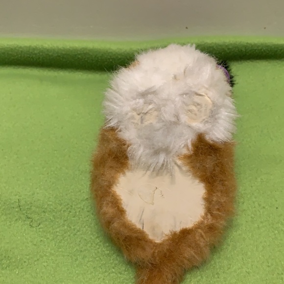 American Girl pet cats - Picture 6 of 6